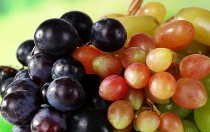 Чем может быть опасен виноград? Чем может быть опасен виноград?